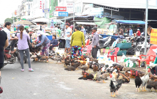 'Chi bằng dẹp luôn chợ đầu mối Bình Điền'