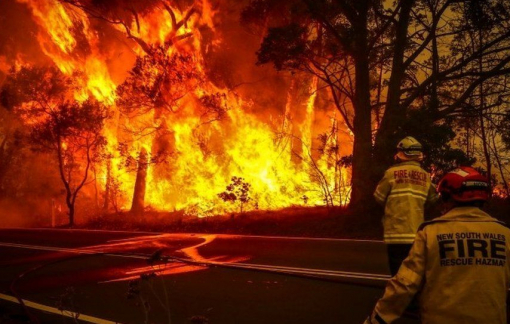 Cháy rừng Úc cướp đi mạng sống 25 người, giết chết hàng triệu động vật