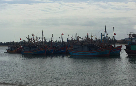 8 ngư dân nghi ngộ độc do ăn ốc biển, trong đó 1 người đã tử vong