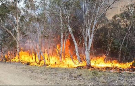 Úc kiểm soát thành công đám cháy lớn nhất gần Sydney