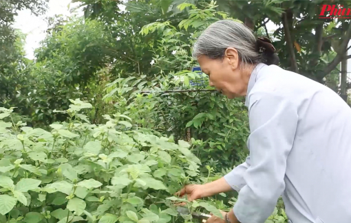 Đôi bàn tay ấm