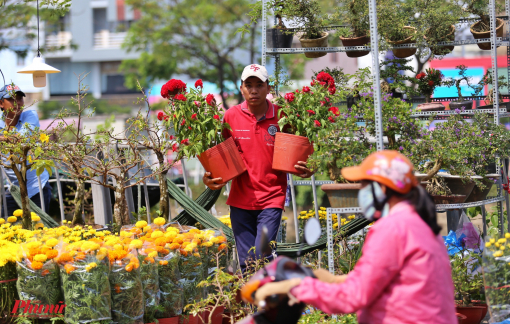'Chợ nổi' ở Sài Gòn tràn ngập hoa tết