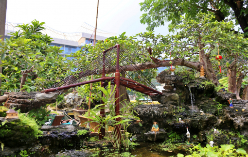 Gốc ổi bonsai giá 1,2 tỷ đồng tại Hội hoa xuân Phú Mỹ Hưng