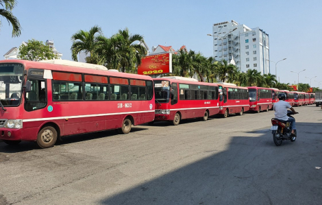 TPHCM: Hàng loạt tài xế xe buýt lãn công vì thu nhập thua lỗ dịp Tết