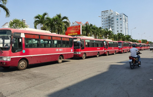 TPHCM: Hàng loạt tài xế xe buýt lãn công vì thu nhập thua lỗ dịp Tết