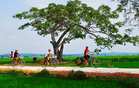 Về quê