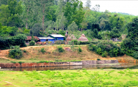 Tết quê Quảng Ngãi đẹp như mơ làm chùng lòng người phố thị