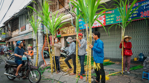 Người Sài Gòn chen chân mua mía cúng vía Trời mùng 9 tháng Giêng