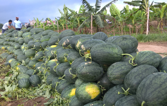 Bộ Công thương khuyến nghị hạn chế đưa hàng lên biên giới