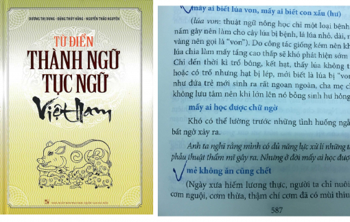 Thu hồi, tiêu hủy 'Từ điển thành ngữ tục ngữ Việt Nam'