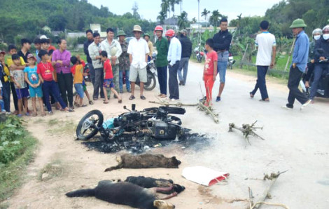 Hai thanh niên bị đánh thương vong vì nghi trộm chó