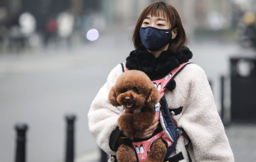 Hồng Kông phát hiện dấu vết virus gây COVID-19 ở thú cưng
