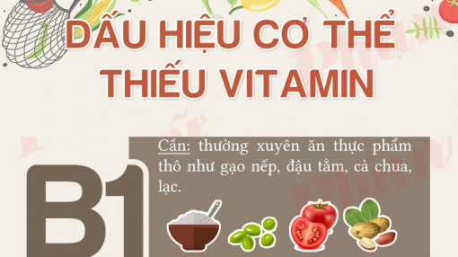 Dấu hiệu nhận biết cơ thể đang thiếu chất trầm trọng