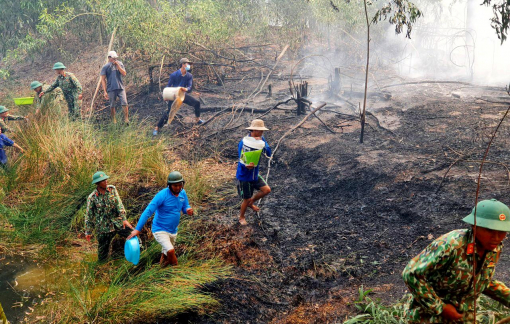 Đốt cỏ, đốt rụi luôn 10 héc ta rừng tràm