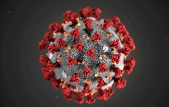 Virus gây bệnh COVID-19 đã phân ra ít nhất 2 đột biến khác nhau