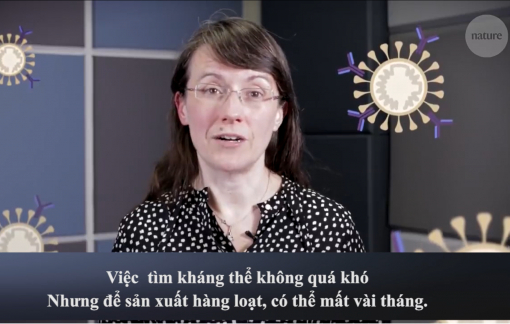 Các nhà khoa học đang chiến đấu với COVID-19 như thế nào?