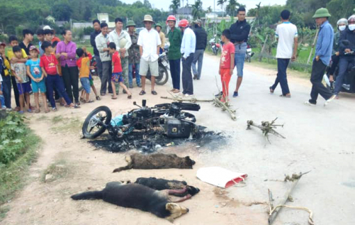 Truy tìm người đánh hai thanh niên thương vong vì nghi trộm chó