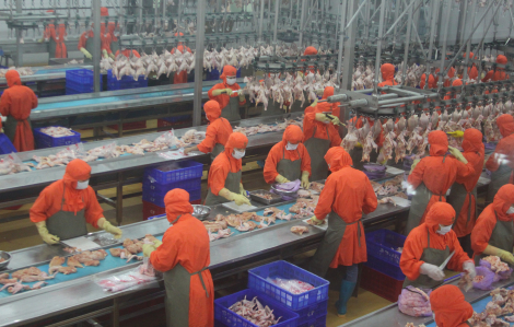 Thịt gà chế biến Việt Nam được phép xuất khẩu sang Nga