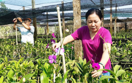 Chị Hạnh sẻ chia