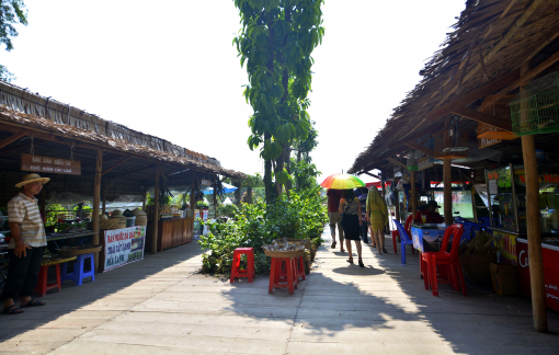 Ba tỉnh miền Tây Nam bộ tạm dừng tiếp nhận du khách nước ngoài để kiểm soát dịch