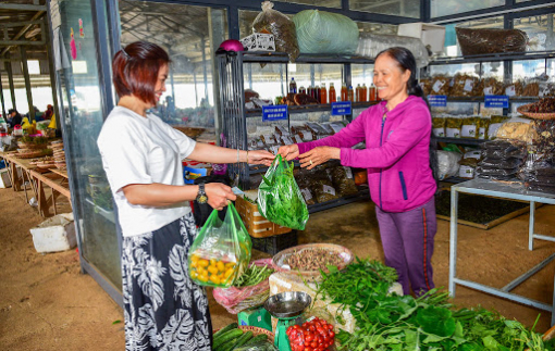 Đời thôi cứ thế mà vui