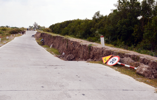 Cà Mau: Nguy cơ sụp lún trên 4.000m đê biển