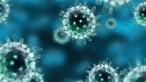 Virus corona chủng mới dạy chúng ta điều gì?