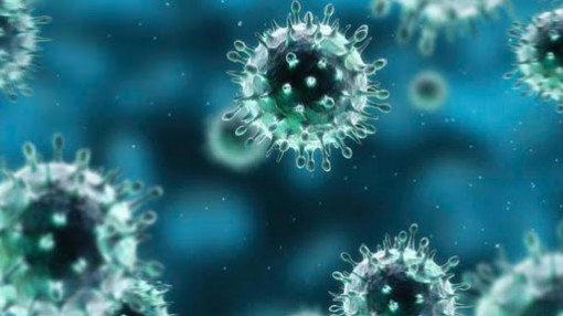 Virus corona chủng mới dạy chúng ta điều gì?