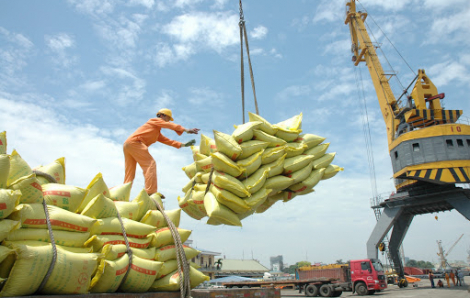 Thủ tướng yêu cầu ngưng ký mới các hợp đồng xuất khẩu gạo