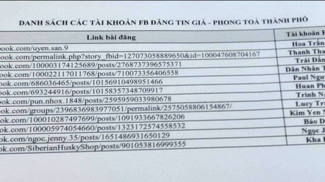 Tung tin phong tỏa thành phố, 10 facebooker bị công an điều tra