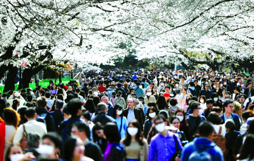 Người Nhật tự thích nghi trong dịch bệnh