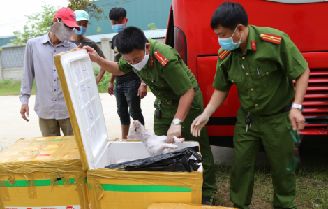 Gần 4 tấn thịt chó, mèo bốc mùi hôi theo xe khách ra miền Bắc tiêu thụ