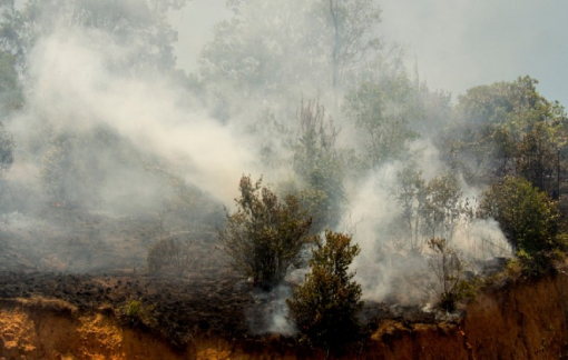 Đang căng mình chống dịch, Indonesia liên tiếp bị cháy rừng