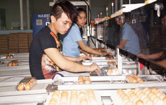 Doanh nghiệp chỉ thấy mình được hỗ trợ… trên ti vi