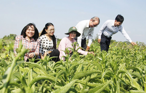 Nông thôn mới chờ ngày về đích