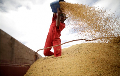 Trung Quốc tăng cường dự trữ lương thực, đề phòng làn sóng COVID-19 tiếp theo