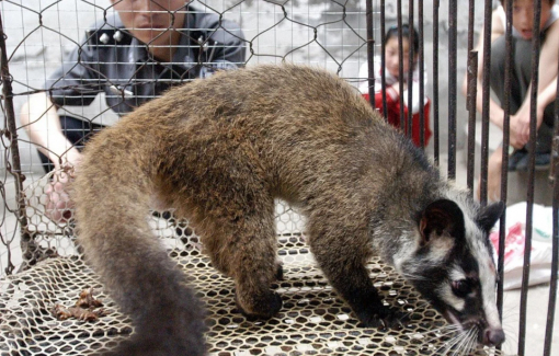 Trung Quốc áp dụng chính sách bồi thường để xóa bỏ nạn buôn bán động vật hoang dã