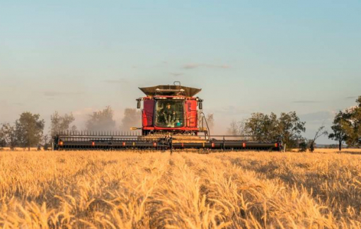 Úc thất vọng sâu sắc về việc Trung Quốc áp thuế trừng phạt hơn 80%