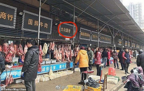Trung Quốc: Cấm buôn bán động vật hoang dã, vẫn “mở cửa” sản xuất lông thú và thuốc cổ truyền