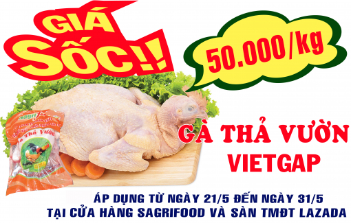 Giá sốc gà thả vườn VietGAP 50.000 đồng/kg