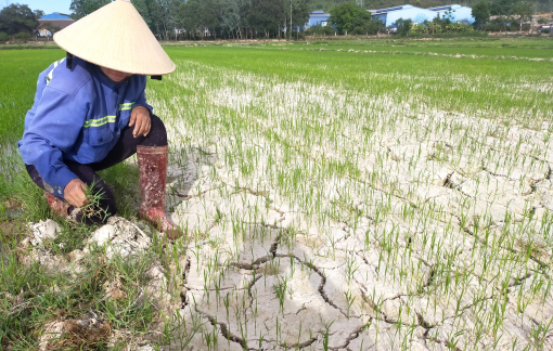 Miền Trung khát cháy trong cái nóng 40 độ C