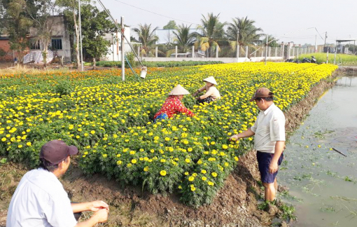 Cán bộ Hội: phát huy tốt ở các vị trí công tác Đảng và chính quyền