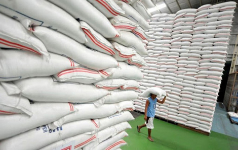 Giá gạo xuất khẩu Việt Nam thu hẹp khoảng cách gạo Thái Lan