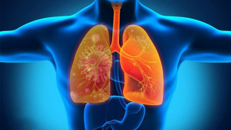 Viêm phổi do vi khuẩn xâm nhập qua da?