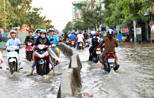 Tiếng nói người trong cuộc