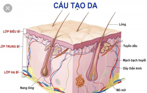 Cách thải độc da đơn giản nhưng hiệu quả bất ngờ