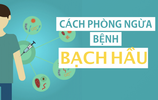 Infographic: Cách phòng chống bệnh bạch hầu