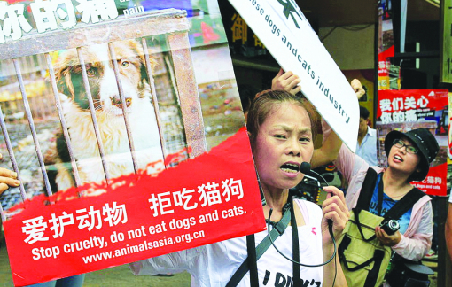 Lễ hội thịt chó Trung Quốc gây nhiều tranh cãi