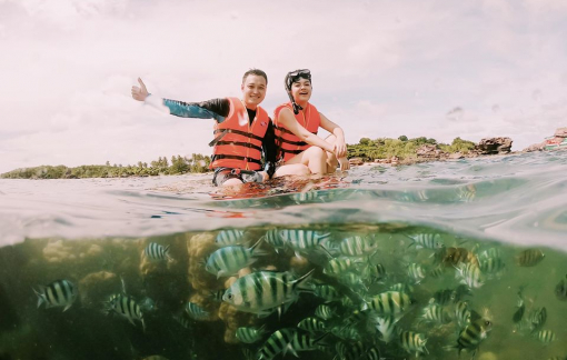 Quang Vinh, Phạm Quỳnh Anh ngồi lên san hô: Lại chuyện ý thức của người nổi tiếng