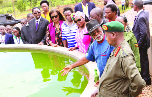 Làm nông không rác thải và phép thử ở châu Phi